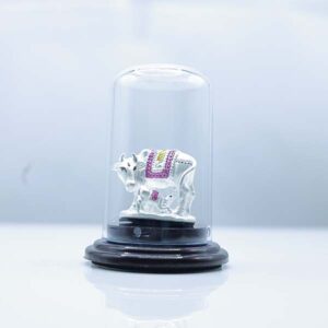 Shop Secondary Image