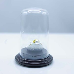 Shop Secondary Image